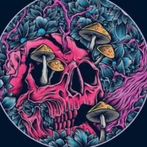 Meet your Posher, Patience